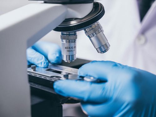 Alex Diagnostics History